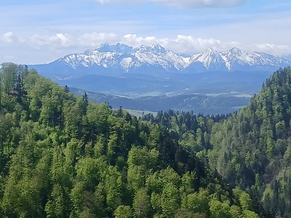 Panorama Tatr widziana z Pienin
