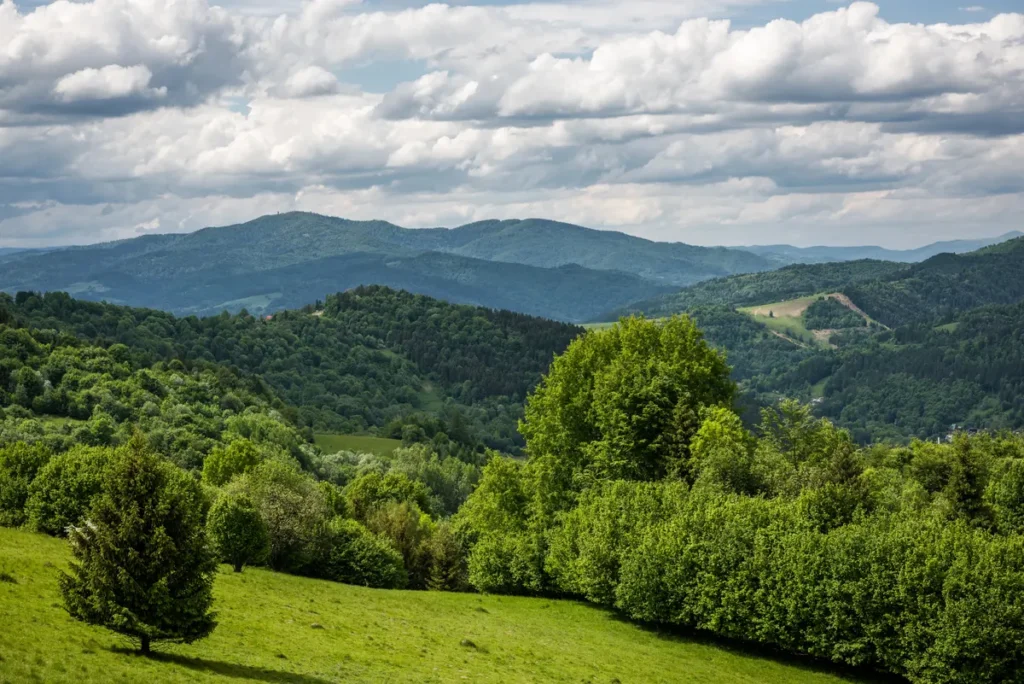 Panorama Pienin i Tatr widziana z Palenicy w Szczawnicy