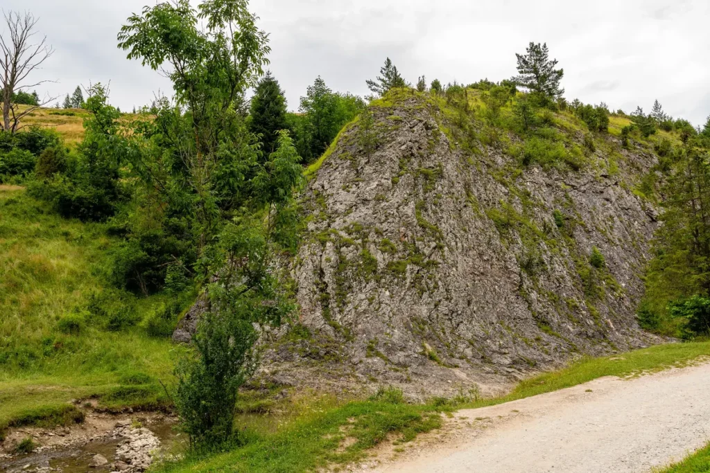 Wapienne skały i zielona dolina w rezerwacie Biała Woda